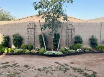 707 152nd Dr, Goodyear, AZ 85338
