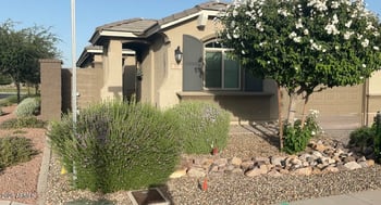 707 152nd Dr, Goodyear, AZ 85338