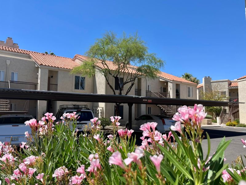 7101 W Beardsley Rd #552, Glendale, AZ 85308