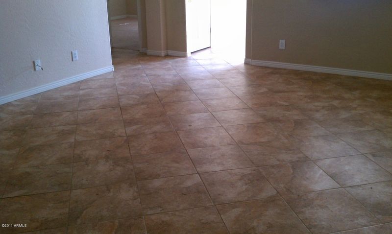 711 W Lydia Ln, Phoenix, AZ 85041