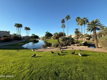 7116 Los Feliz Dr, Tempe, AZ 85283