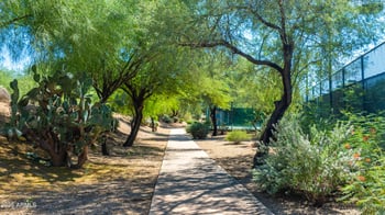 7130 Belmont Ave, Paradise Valley, AZ 85253