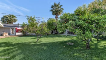 7131 12th Pl, Phoenix, AZ 85020