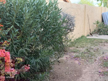 7138 Jenan Dr, Peoria, AZ 85345