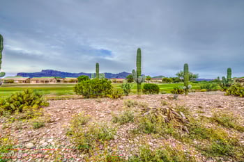 7164 Canyon Wren Dr, Gold Canyon, AZ 85118