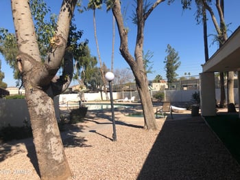 718 S Lebanon Ln, Tempe, AZ 85288