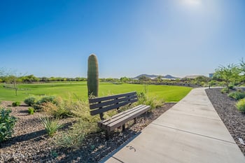 7254 W Buckhorn Trl, Peoria, AZ 85383