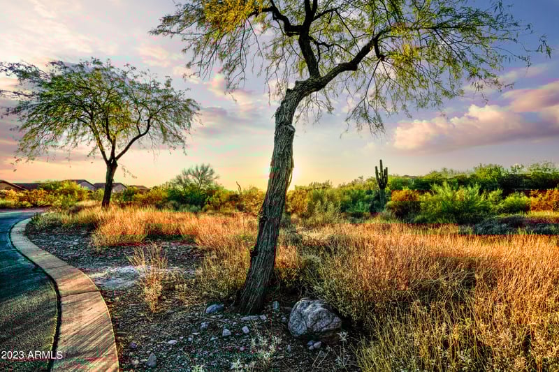 7274 Wilderness Trl #15, Gold Canyon, AZ 85118