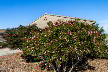 7286 Bobwhite Ct, San Tan Valley, AZ 85143