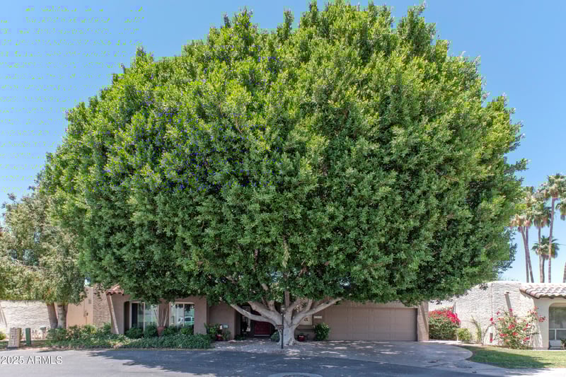 7302 Rose Ln, Scottsdale, AZ 85250