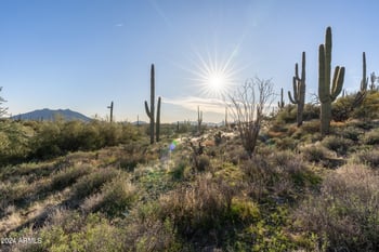 7344 Continental Mtn Ests Dr #1, Cave Creek, AZ 85331