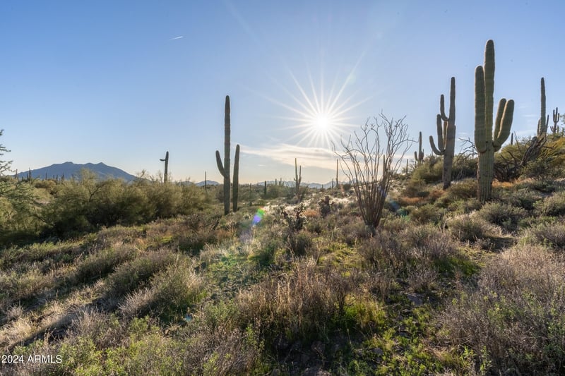 7344 Continental Mtn Ests Dr #1, Cave Creek, AZ 85331