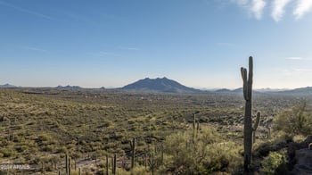7344 Continental Mtn Ests Dr #1, Cave Creek, AZ 85331