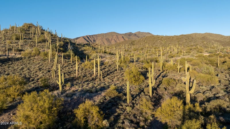 7347 Continental Mtn Ests Dr #9, Cave Creek, AZ 85331