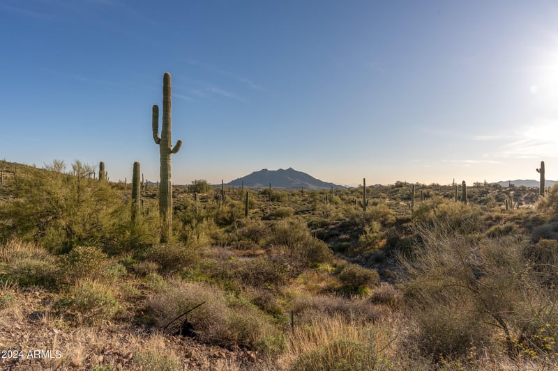 7347 E Continental Mtn Ests Dr #9, Cave Creek, AZ 85331