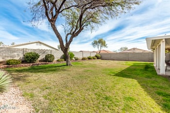 7356 Solano Dr, Glendale, AZ 85303