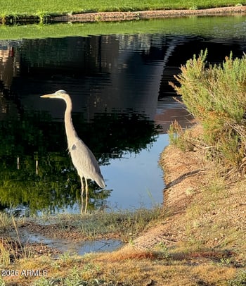 7373 Clubhouse Dr #8, Scottsdale, AZ 85266