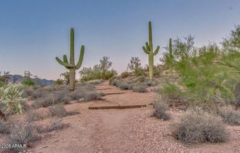 7387 Cliff Rose Trl, Gold Canyon, AZ 85118