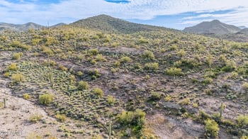 74 Elephant Butte Rd #5, Gold Canyon, AZ 85118