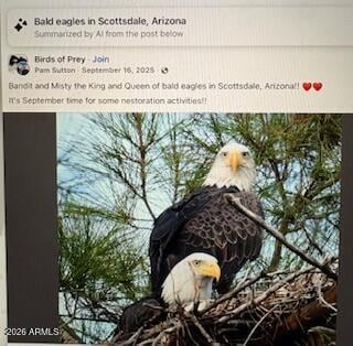 7404 Yuma Rd, Scottsdale, AZ 85258