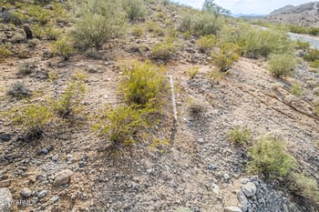 7423 Brookhart Way #5, Peoria, AZ 85383