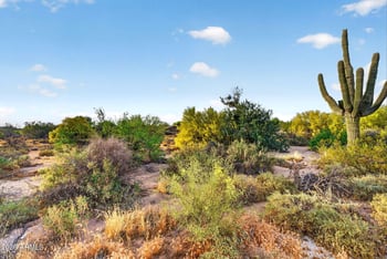 7474 Christmas Cholla Dr, Scottsdale, AZ 85255