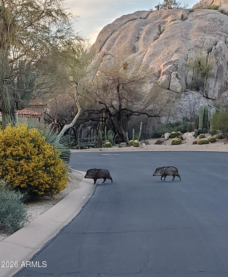 7500 E Boulders Pw #12, Scottsdale, AZ 85266