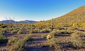 7500 Highland Rd #-, Cave Creek, AZ 85331