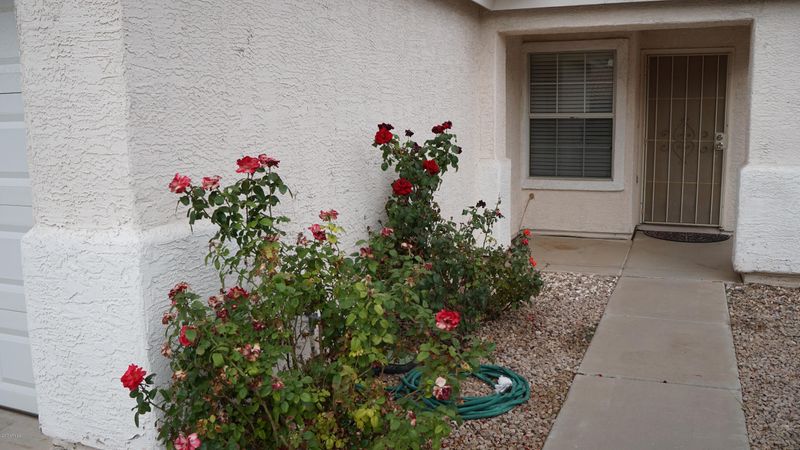 752 E Ivanhoe St, Chandler, AZ 85225