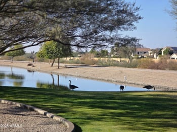 7576 Quail Ave, Glendale, AZ 85308