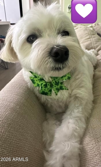 7625 Camelback Rd #B227, Scottsdale, AZ 85251