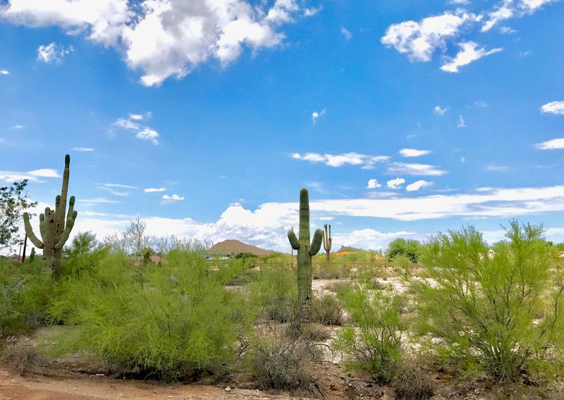 7660 E Mcdowell Rd #2, Mesa, AZ 85207