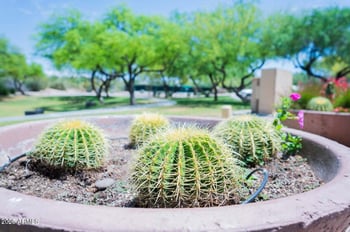 7684 Balao Dr, Scottsdale, AZ 85266