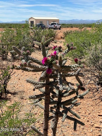 7691 Calle Del Prado St #287, Douglas, AZ 85607