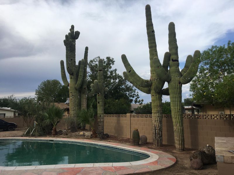 7725 N 48th Ave, Glendale, AZ 85301