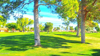 7726 E Neville Ave, Mesa, AZ 85209