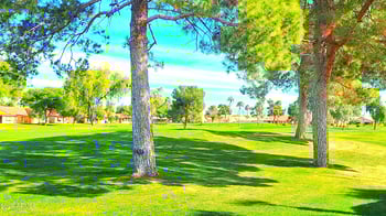 7726 Neville Ave, Mesa, AZ 85209