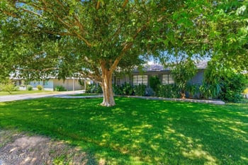 7750 17th Dr, Phoenix, AZ 85021