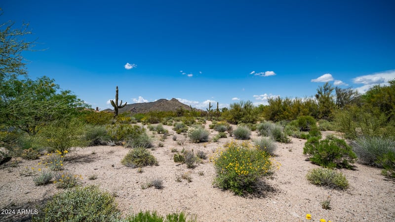 7752 Black Mountain Rd #2, Scottsdale, AZ 85266
