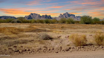 7770 543rd Ave #236, Tonopah, AZ 85354