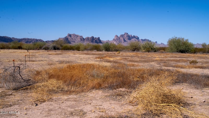 7770 543rd Ave #236, Tonopah, AZ 85354