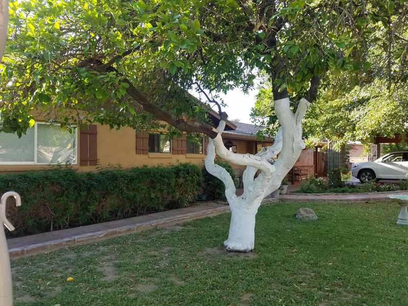 7841 S 13th Pl, Phoenix, AZ 85042