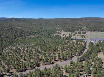 79 Sandige Ln, Mormon Lake, AZ 86038