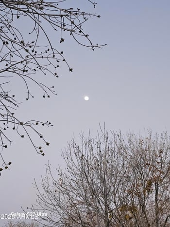 790 Cherrywood Dr, Chandler, AZ 85248