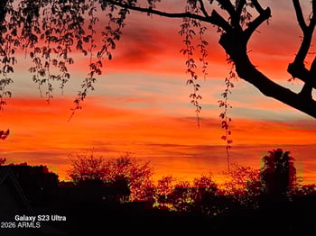 790 Cherrywood Dr, Chandler, AZ 85248