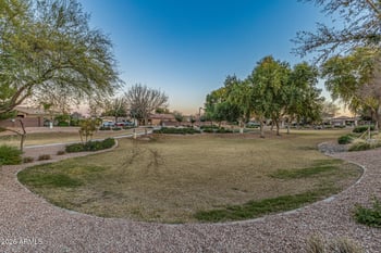 793 Trellis Rd, Queen Creek, AZ 85140