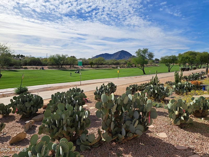 7949 E Joshua Tree Ln, Scottsdale, AZ 85250