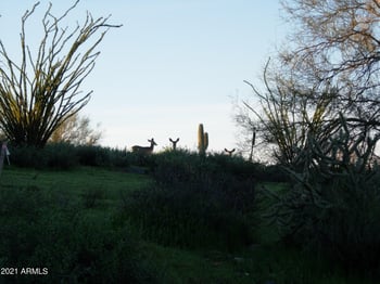 7960 Rising Sun Rd #-, Carefree, AZ 85377