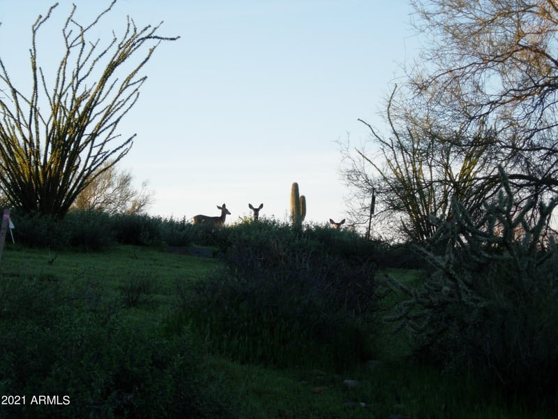 7960 Rising Sun Rd #-, Carefree, AZ 85377