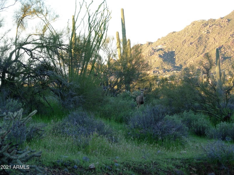 7960 Rising Sun Rd #-, Carefree, AZ 85377